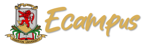 Egerton University E-Campus